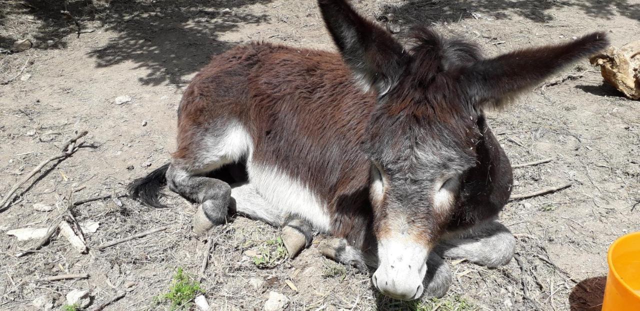 Beires Casa Rural Entresierras المظهر الخارجي الصورة